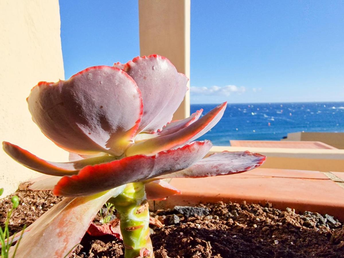 Medano4You The Ocean Terrace Penthouse El Médano المظهر الخارجي الصورة